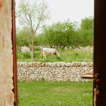 Tenuta Tedone Consolini Villa Ruvo di Puglia Kültér fotó