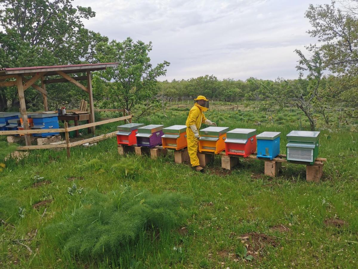 Tenuta Tedone Consolini Villa Ruvo di Puglia Kültér fotó
