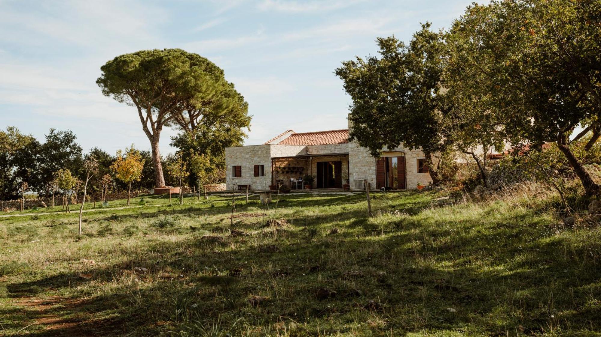 Tenuta Tedone Consolini Villa Ruvo di Puglia Kültér fotó