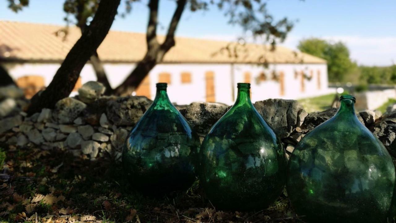 Tenuta Tedone Consolini Villa Ruvo di Puglia Kültér fotó