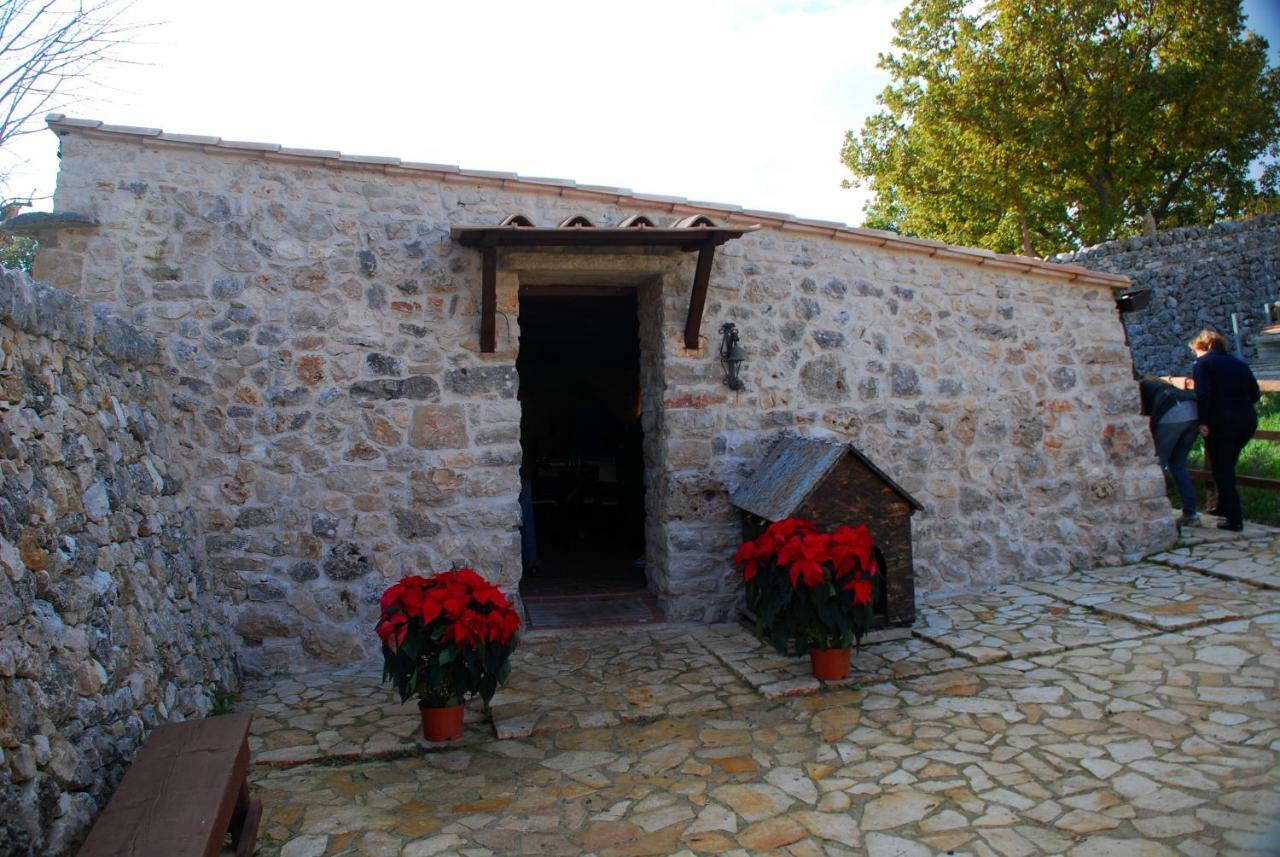 Tenuta Tedone Consolini Villa Ruvo di Puglia Kültér fotó