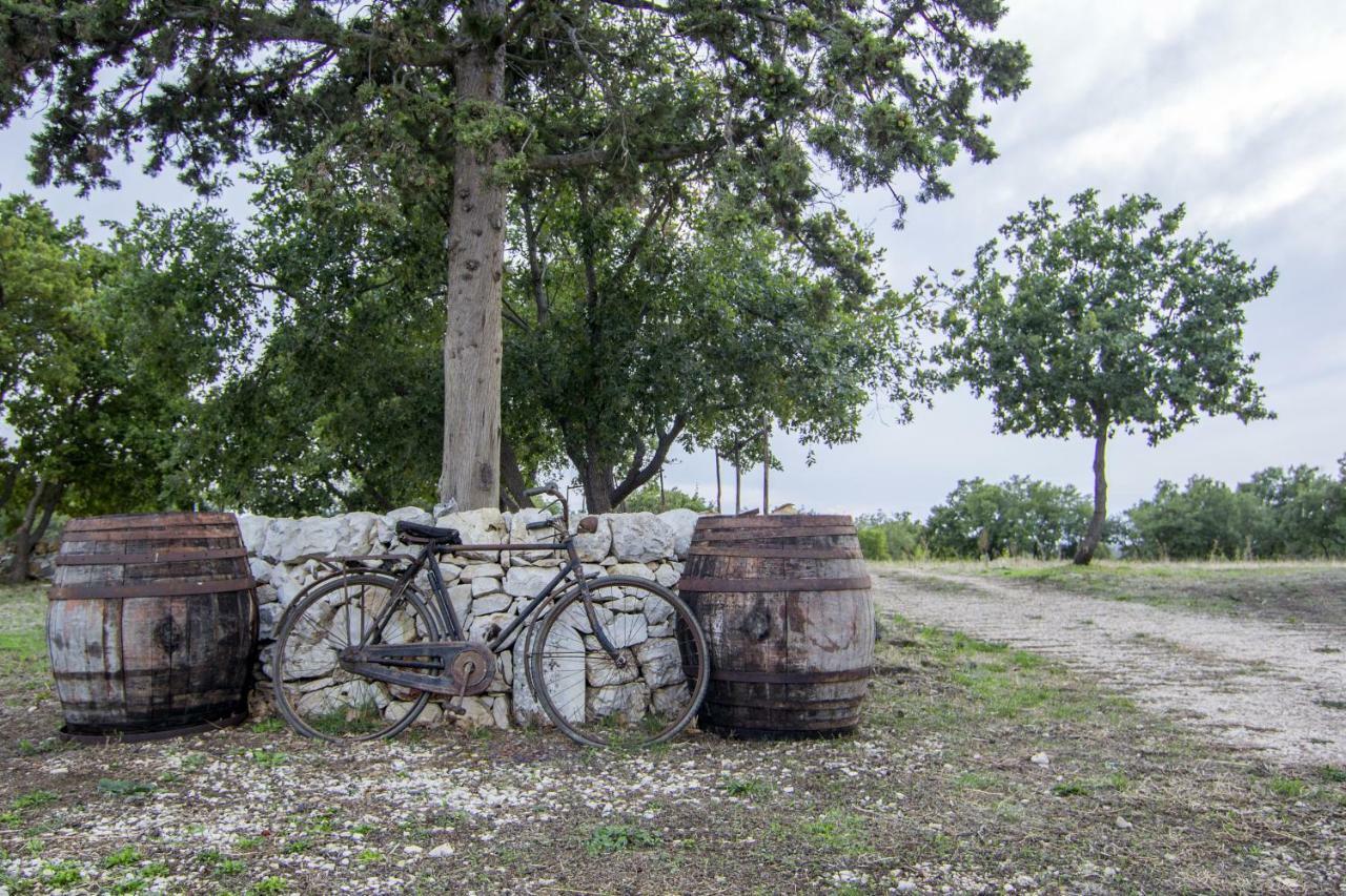 Tenuta Tedone Consolini Villa Ruvo di Puglia Kültér fotó