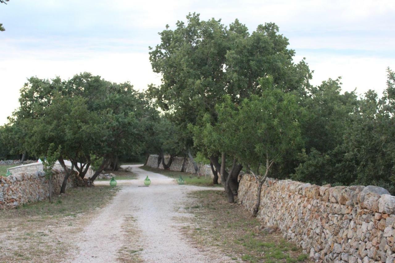 Tenuta Tedone Consolini Villa Ruvo di Puglia Kültér fotó