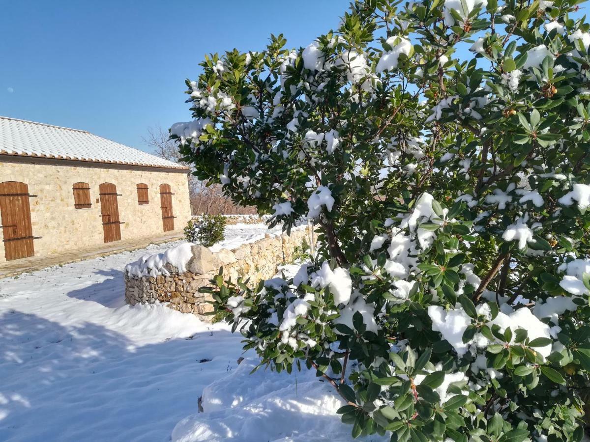 Tenuta Tedone Consolini Villa Ruvo di Puglia Kültér fotó